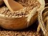 Бизнес-план по выращиванию пшеницы: учимся работать на себя Бизнес процессы купли продажи зерна